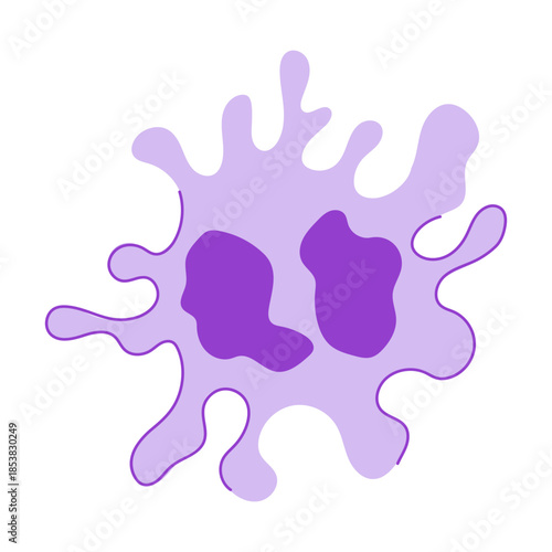 Phagocyte engulfing pathogens in bloodstream, illustrating immune response, white blood cell activity, microbiology, infection defense and cellular processes in human health research