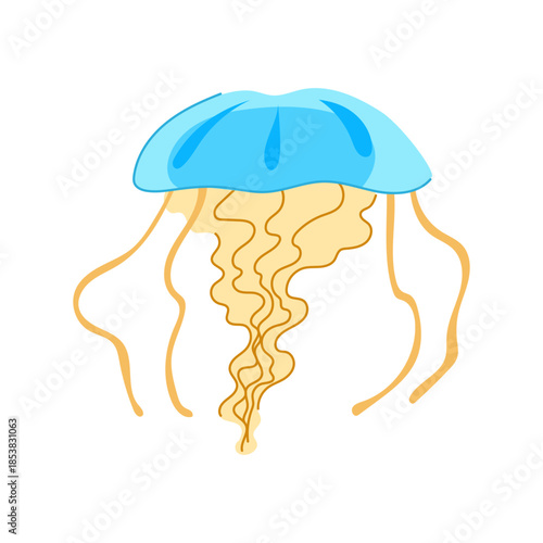Jellyfish, an ocean creature, displaying a simple design with a blue bell and flowing tentacles, isolated on a white background, representing aquatic wildlife