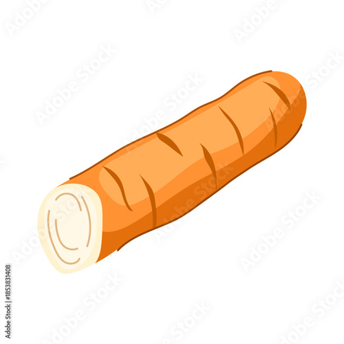 Jicama root vegetable appearing as an illustration, featuring an orange peel and a crisp white interior, representing healthy eating and fresh produce concepts