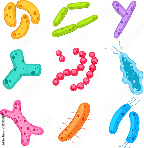 Various colorful bacteria and microorganism shapes representing probiotics, gut flora, and the complex human microbiome important for health and immunity