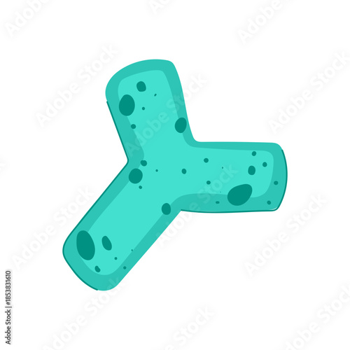 Bifidobacterium cartoon cell growing, symbolizing gut health, probiotic bacteria, and the complex ecosystem of the human microbiome for medical and wellness concepts