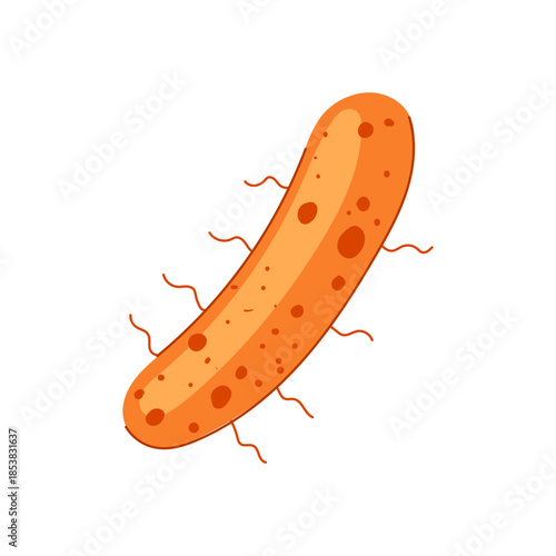 Lactobacillus bacterium illustration highlighting beneficial probiotic microbes that support gut microbiome balance, digestion, immunity, and overall digestive wellness in the human body