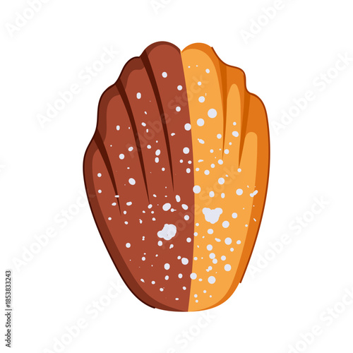 Madeleine cookie illustration showing a classic scallop shape, split in half with rich chocolate and golden plain flavors, sprinkled generously with powdered sugar on a white background