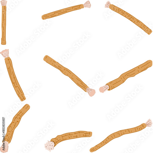 Multiple miswak - siwak - sticks on white background, natural wooden toothbrushes representing traditional oral hygiene, dental care, fresh breath, and cultural wellness rituals