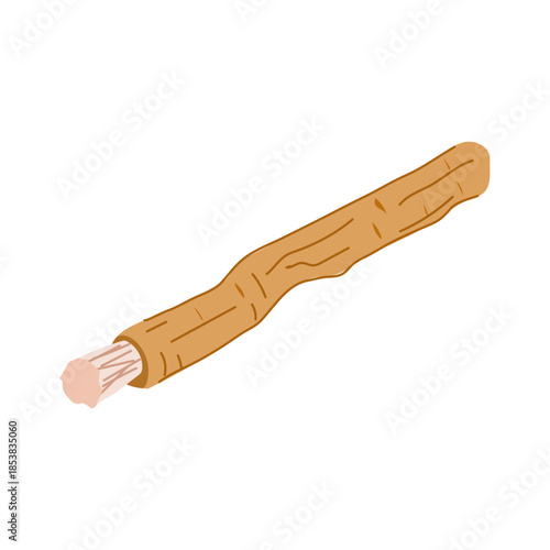 Miswak stick is a natural chewing stick for traditional oral care, representing dental health, well being, and eco friendly practices in a simple flat design illustration