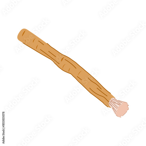 Miswak chew stick for natural oral care, traditional plant based toothbrush alternative symbolizing eco friendly dental hygiene, holistic wellness and simple personal care routine