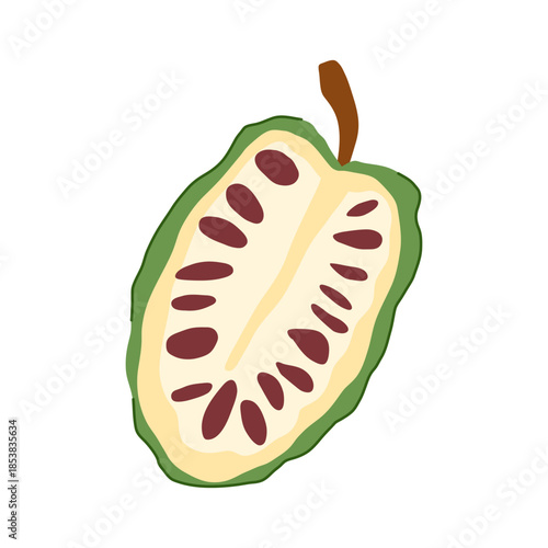 Noni fruit - morinda citrifolia - split vertically in half, revealing its pale flesh and multiple dark seeds, representing tropical health, nutrition, and wellness concepts