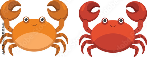 Cute cartoon crab illustration, smiling orange and red crabs, sea animal characters, flat vector design, isolated on white background graphic