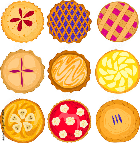 Variety of nine colorful baked fruit and cream pastries displaying different toppings and crust designs, representing desserts, baking, and culinary concepts