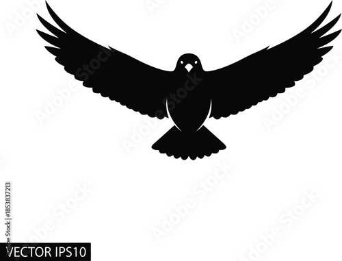 Black Silhouette Of A Bird With Wings Spread Wide On White Background animal blackbird