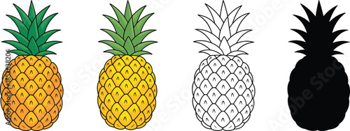 Cute pineapple vector set illustration, colorful fruit variations, outline and silhouette styles, flat cartoon design, isolated white background graphic clipart