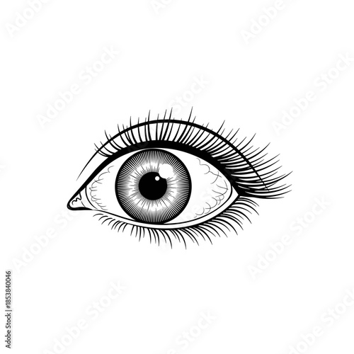 Human eye with intricate iris and long lashes. Detailed monochrome engraving of an open eye for vision, anatomy, or art concept. Optical perception element.