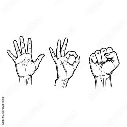 Hand gestures illustration depicting open palm, ok sign, and closed fist. Communication and expression concept for sign language or visual indicators.