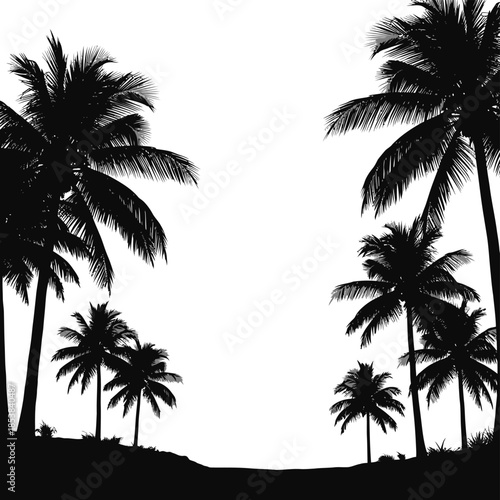 Silhouette of Palm Trees Against a White Background.