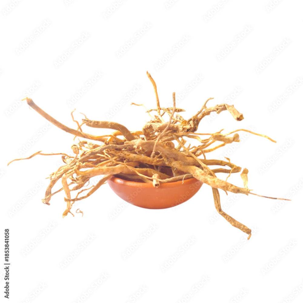 Obraz premium satavari on clay small bowl isolated on white background - 1