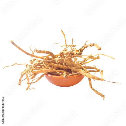 satavari on clay small bowl isolated on white background - 1