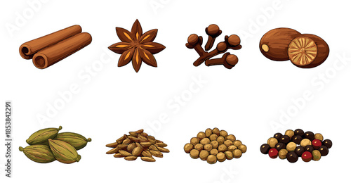Collection of aromatic spice illustrations featuring cinnamon, star anise, cloves, nutmeg, cardamom, coriander, peppercorns
