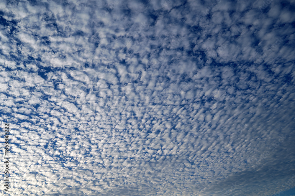 Obraz premium Beautiful cloudy sky with small fluffy white clouds.