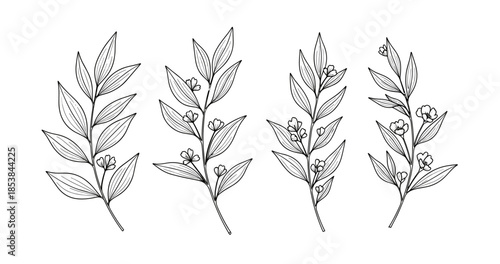Set of hand-drawn botanical leaf illustrations with flowers