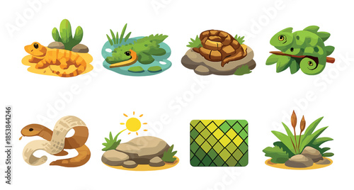 Cartoon reptile collection: snakes, crocodile, chameleon, natural habitat elements