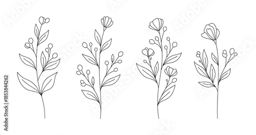 Elegant line art flowers on white background featuring botanical designs
