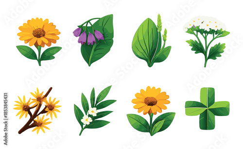Vibrant collection of illustrated flowers on green background