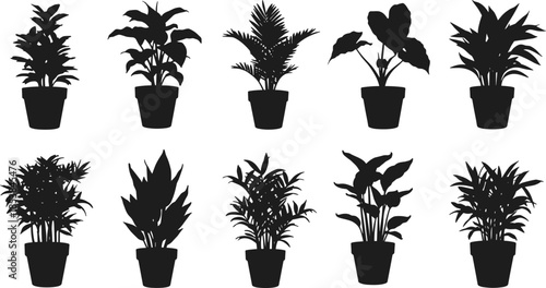 Silhouette collection of potted plants, indoor houseplants variety, botanical illustration, foliage diversity, decorative greenery, plant shapes, natural design elements