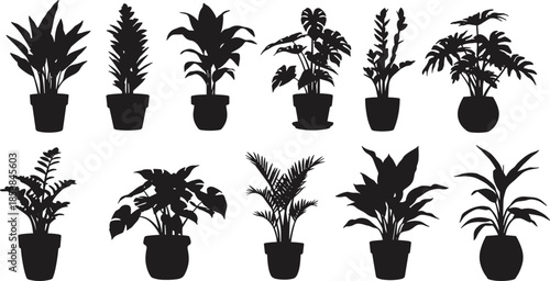 Silhouette collection of potted plants, indoor houseplants variety, botanical illustration, foliage diversity, decorative greenery, plant shapes, natural design elements