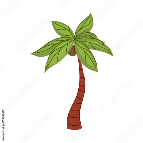 Tropical palm tree vector illustration featuring green fronds and brown trunk with coconuts, symbolizing summer, vacation, paradise, and exotic destinations