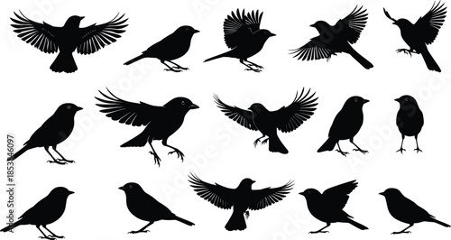 Collection of black bird silhouettes featuring songbirds in flight perched on branches and standing on a white background.