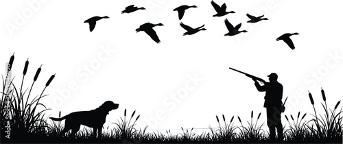 Silhouette hunting scene with hunter, dog, flying birds, marsh wetland grass, outdoor wildlife illustration, shotgun aim, bird hunting nature background