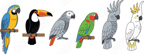 Exotic tropical bird collection including colorful macaw toucan african grey parrot and cockatoos perched on wood branches vector