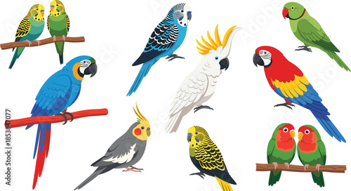 Large collection of colorful parrot species including macaw cockatiel cockatoo budgie and lovebirds perched on branches isolated on white.