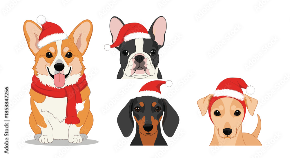 Obraz premium Adorable collection of four diverse dog breeds, including a corgi, French bulldog, dachshund, and mongrel, all wearing festive Santa hats, with one dog also sporting a red scarf, for holiday cheer.