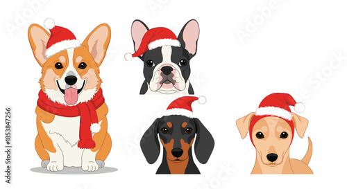 Adorable collection of four diverse dog breeds, including a corgi, French bulldog, dachshund, and mongrel, all wearing festive Santa hats, with one dog also sporting a red scarf, for holiday cheer.