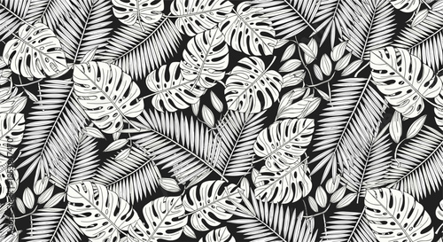 Striking seamless pattern showcasing intricate white monstera and various palm leaves densely arranged on a bold black background, creating a tropical yet elegant look.