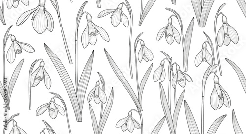 Elegant seamless pattern featuring delicate outline snowdrop flowers with intricate textured line work, creating a serene floral motif on a clean white background.