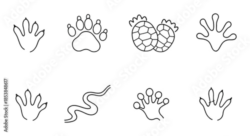 Diverse animal tracks and prints in black and white illustration