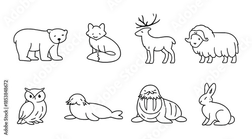 Outlined animals: bear, fox, deer, sheep, owl, seal, walrus, rabbit on gray background
