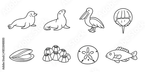 Outline drawings of marine animals and sea creatures