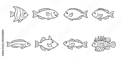 Various hand-drawn fish illustrations on grayscale background