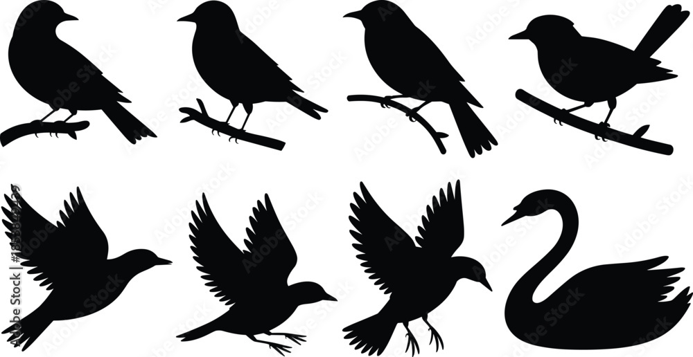 Obraz premium Set of black bird silhouettes including flying songbirds perched on branches and a swan swimming on white background.