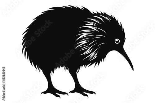 kiwi silhouette line art vector illustration with a white background