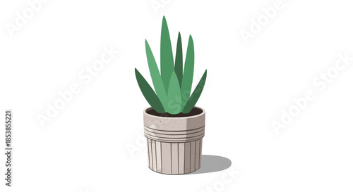Simple and modern illustration of an aloe vera succulent plant growing in a textured grey concrete flowerpot.