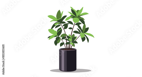 Lush green indoor houseplant with many leaves growing in a sleek black cylindrical pot shown in a clean flat color illustration.