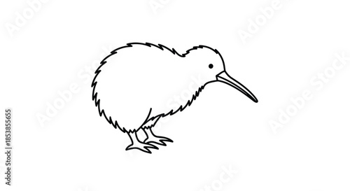 Simple line art illustration of a kiwi bird showing its characteristic long beak and fuzzy body against a plain white background.