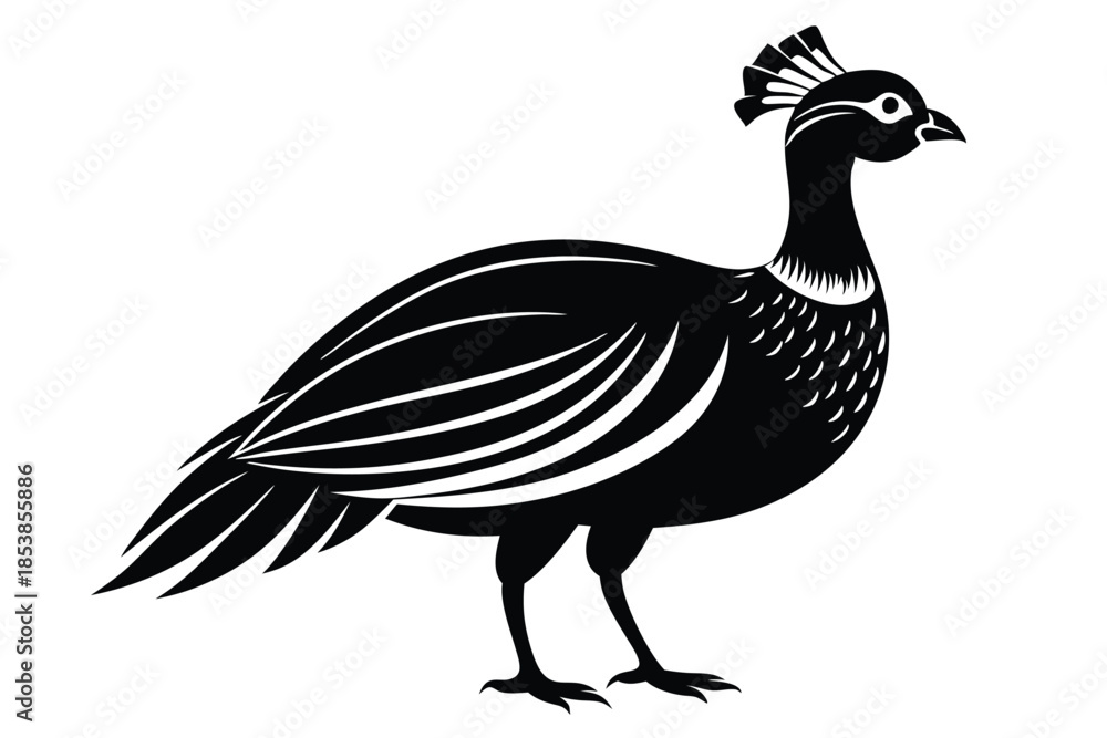 Fototapeta premium guineafowl silhouette line art vector illustration with a white background