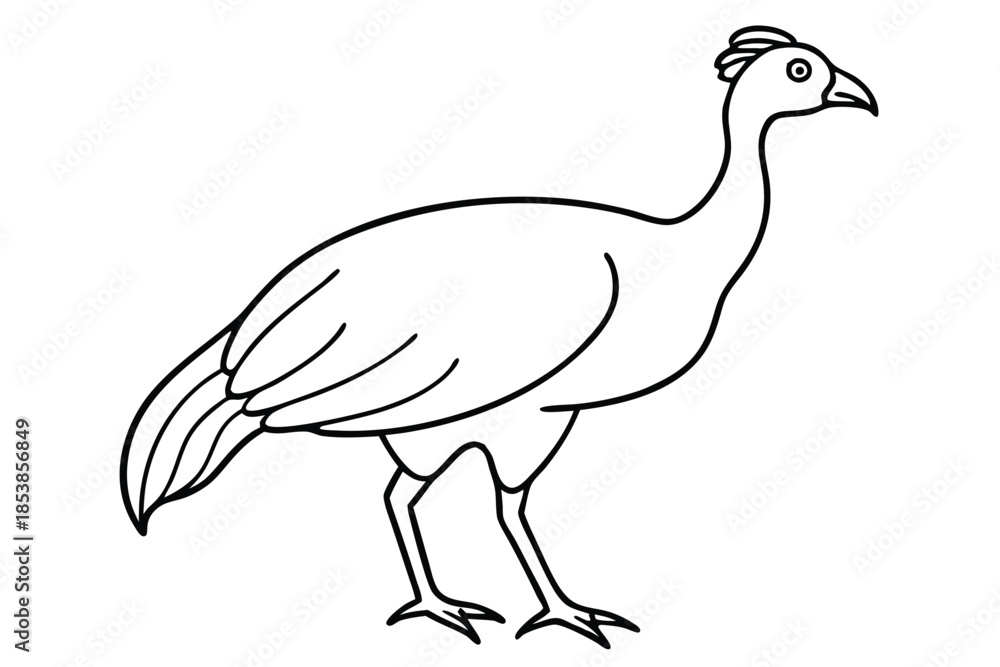 Fototapeta premium guineafowl silhouette line art vector illustration with a white background