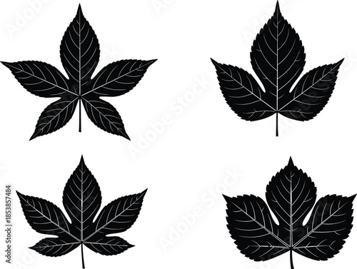 Black leaf silhouettes collection featuring detailed veins, botanical shapes, natural foliage icons, plant leaves set isolated on white background