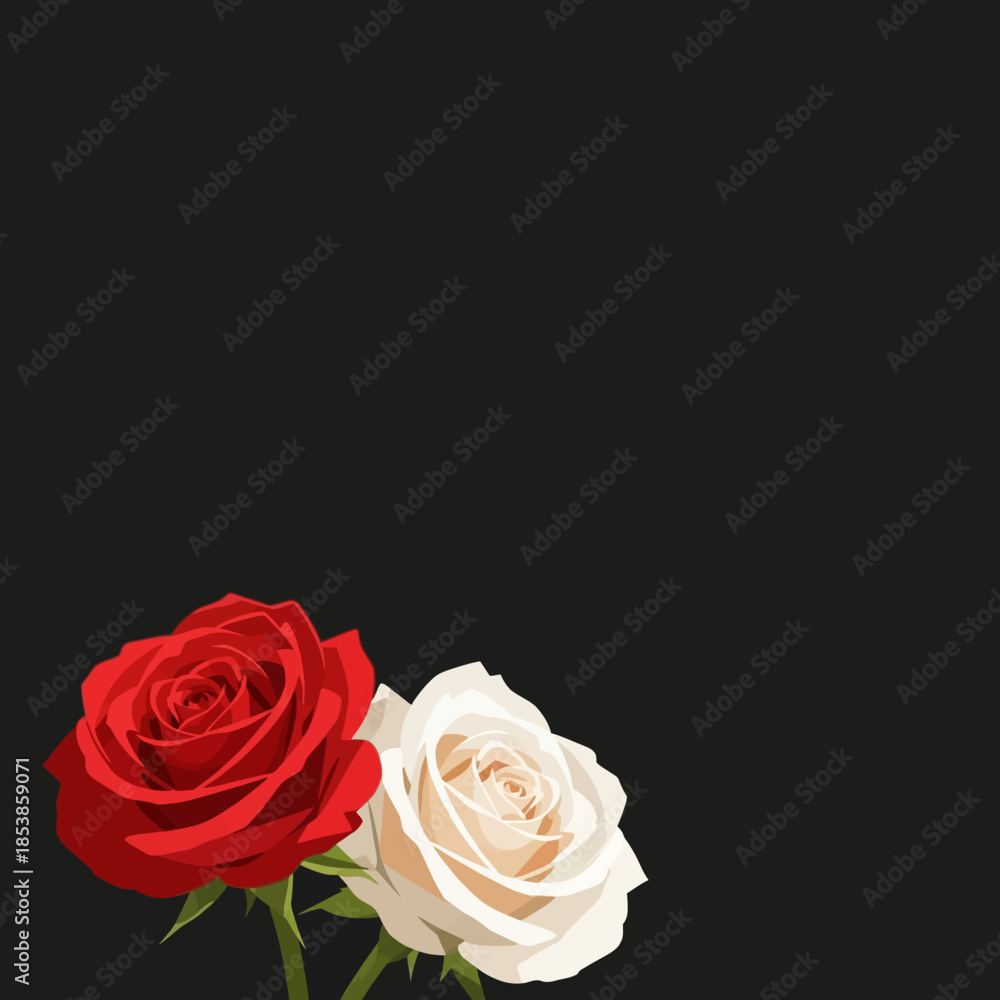 Fototapeta premium Close-up of a red and white rose against a solid black background.